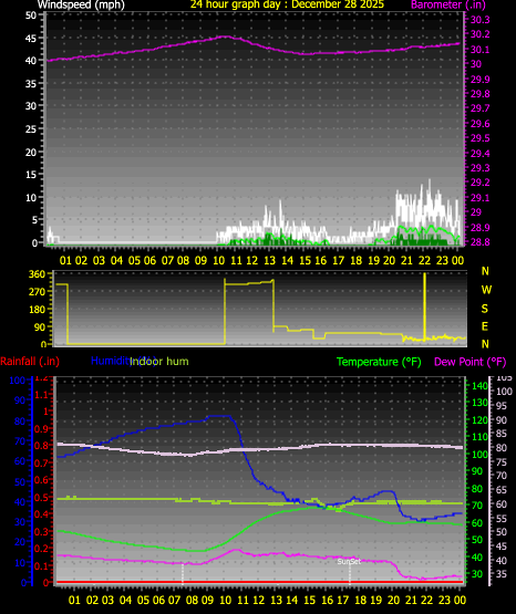 24 Hour Graph for Day 28