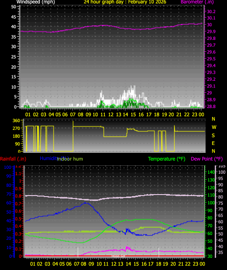 24 Hour Graph for Day 10