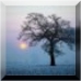 Mist, Clear Mist, Clear